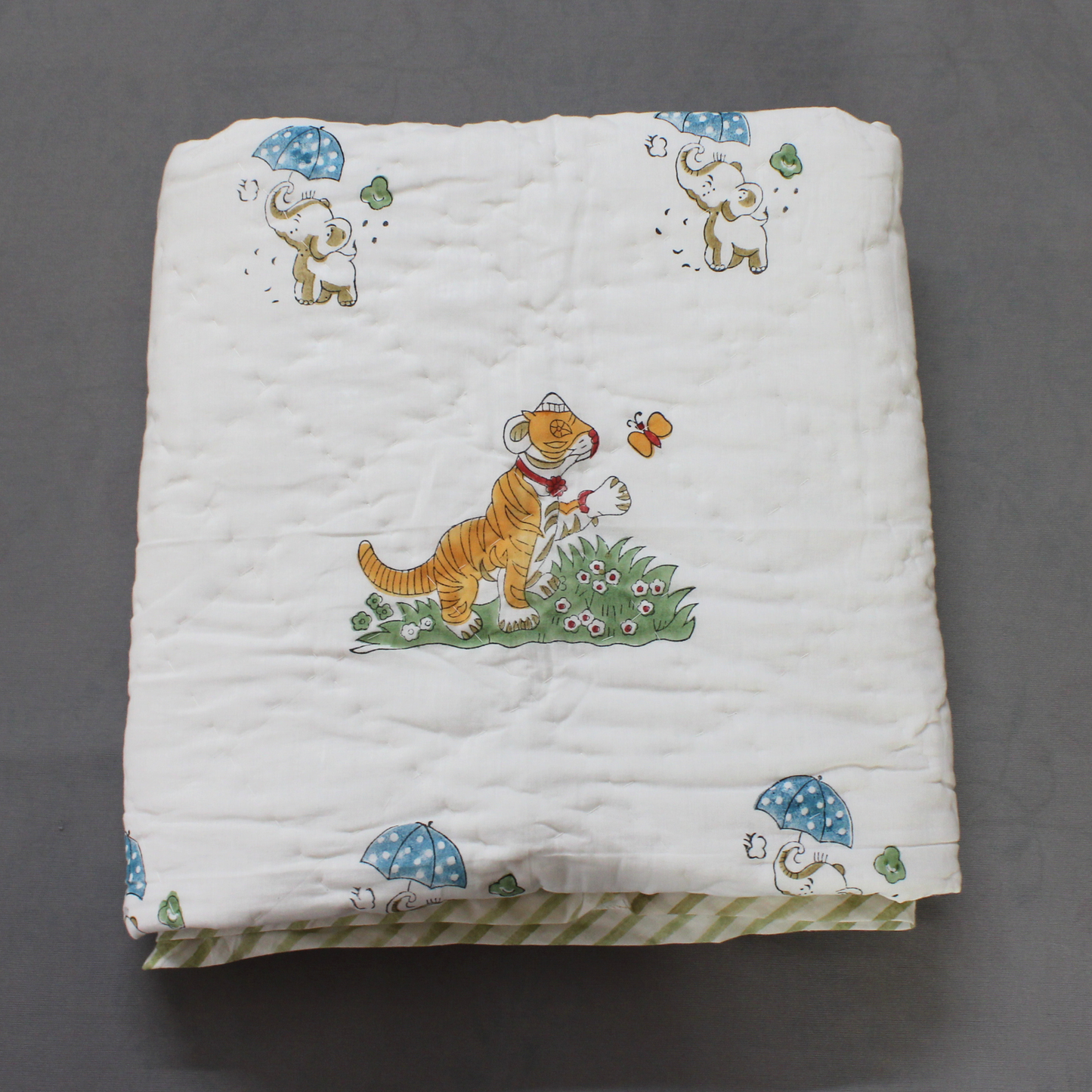 Anand Bagh- Baby Cotton Quilt